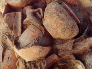 Findings of vases and amphorae