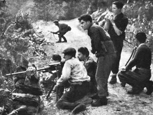 Partisans lurking in ambush