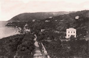 La Chiesa svetta tra la vegetazione del Corso di Ponente