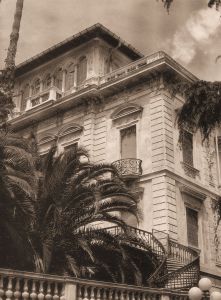 Un coin de la Villa avec un palmier